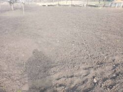 ������ ��������� ������� ��� ��������� ���� 3