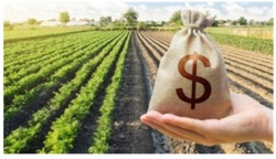 Продам ділянку с/х призначення біля Високих Байраків у Кропивницькому фото 3 Продам ділянку с/х призначення біля Високих Байраків у Кропивницькому фото 3