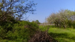 Продам земельний участок, Кропивницкий фото 2 Продам земельний участок, Кропивницкий фото 2