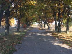 ������ �������� ������ �� �������� � �������������� ���� 1