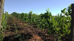 ������ �������� ������ � �������������� ���� 9