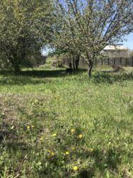 Продам приватизированный земельный участок 15 сот на Бережинке в Кропивницком фото 11 Продам приватизированный земельный участок 15 сот на Бережинке в Кропивницком фото 11