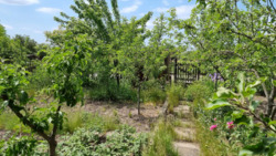 ������ �������� ������ � ������ ������ ����� ������������� ���� 5