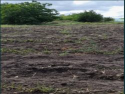 Продам участок під застройку фото 3 Продам участок під застройку фото 3