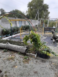 Продам земельну ділянку біля річки на Лелеківці в м Кропивницький фото 11 Продам земельну ділянку біля річки на Лелеківці в м Кропивницький фото 11