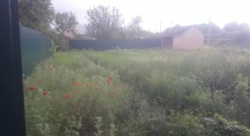 Продаю дачный участок с небольшим домиков в дачном кооперативе в Кропивницком фото 4 Продаю дачный участок с небольшим домиков в дачном кооперативе в Кропивницком фото 4