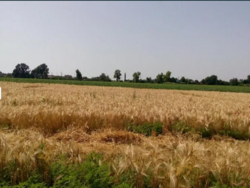 Продажа земельного участка фото 3 Продажа земельного участка фото 3