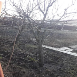 Продам участок на полтавской фото 2 Продам участок на полтавской фото 2