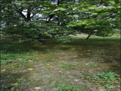 Продам участок під застройку фото 4 Продам участок під застройку фото 4