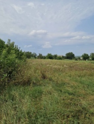 Продам участок на с. Балашовке фото 1 Продам участок на с. Балашовке фото 1