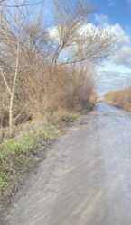 Продам земельну ділянку за 101 мікрорайоном в м. Кропивницький фото 2 Продам земельну ділянку за 101 мікрорайоном в м. Кропивницький фото 2