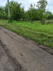 ������ ��������� ������� ���� ��������� ���� 8