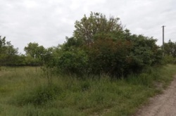 Продам участок на дачах Писецкого фото 1 Продам участок на дачах Писецкого фото 1