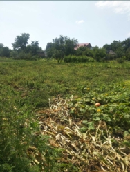 �������� ������� ��� ����� ��������� �� ������ ��������� ���� 5