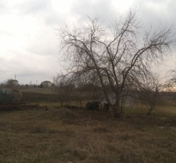 Продам земельну ділянку 12 соток в Черняховці фото 3 Продам земельну ділянку 12 соток в Черняховці фото 3