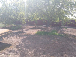 �������� ������ ��� ����� ���� 6