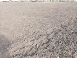 ������ ��������� ������� ��� ��������� ���� 4