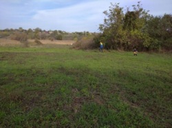 Продам земельну ділянку на Ст. Балашівці в Кропивницькому фото 5 Продам земельну ділянку на Ст. Балашівці в Кропивницькому фото 5