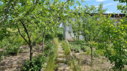 ������ �������� ������ � ������ ������ ����� ������������� ���� 6