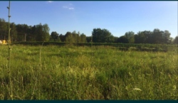 Продам участок на дачах Писецкого фото 4 Продам участок на дачах Писецкого фото 4