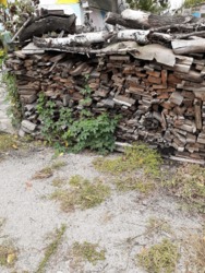 Продам земельну ділянку біля річки на Лелеківці в м Кропивницький фото 8 Продам земельну ділянку біля річки на Лелеківці в м Кропивницький фото 8