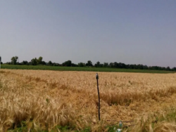 Продажа земельного участка фото 2 Продажа земельного участка фото 2