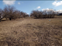 Продам участок на п. Новом в Кропивницком! фото 3 Продам участок на п. Новом в Кропивницком! фото 3