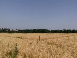 Продажа земельного участка фото 1 Продажа земельного участка фото 1