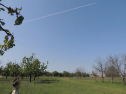 Продам земельну ділянку на Лелеківці у Кропивницькому фото 1 Продам земельну ділянку на Лелеківці у Кропивницькому фото 1