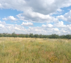 Продаётся участок под жилую застройку на Соколовке фото 3 Продаётся участок под жилую застройку на Соколовке фото 3