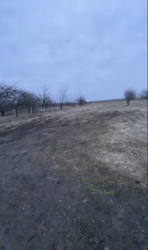 ������ ��������� ������� �� ����� ��������� � ������������ ���� 1