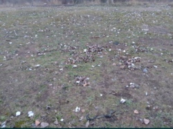 Продам земельну ділянку в Кропивницькому Соколовка фото 2 Продам земельну ділянку в Кропивницькому Соколовка фото 2