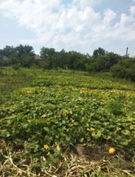 �������� ������� ��� ����� ��������� �� ������ ��������� ���� 1