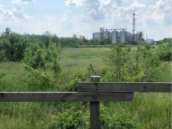 ������ ������ � ���������� ���� �������������� ���� 1