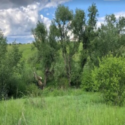 Продаж земельної ділянки під житлову забудову на Іванівка с., площа 20 соток фото 1 Продаж земельної ділянки під житлову забудову на Іванівка с., площа 20 соток фото 1