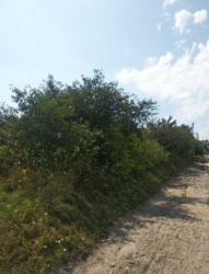 �������� ������� ��� ����� ��������� �� ������ ��������� ���� 4