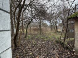 ������ ������� (���������, ������). ���� 3