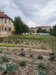 Продам ділянку 12 соток у с. Чабани з гарною Інфраструктурою поруч, фото 4 Продам ділянку 12 соток у с. Чабани з гарною Інфраструктурою поруч, фото 4