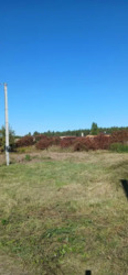 Продаж рівної земельної ділянк біля Хутір ясний фото 3 Продаж рівної земельної ділянк біля Хутір ясний фото 3
