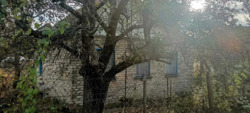      .,  4