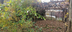      .,  11
