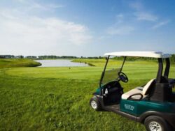 VIP ! . 10 .  .  !.  8