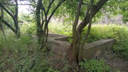 ��������� �������� ������ 17���. ������ ����� �� �����. ������������ ���� . ���� 5