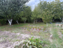 Продам ділянку 12 соток у с. Чабани з гарною Інфраструктурою поруч, фото 7 Продам ділянку 12 соток у с. Чабани з гарною Інфраструктурою поруч, фото 7