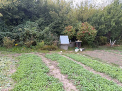 Продам ділянку 12 соток у с. Чабани з гарною Інфраструктурою поруч, фото 8 Продам ділянку 12 соток у с. Чабани з гарною Інфраструктурою поруч, фото 8