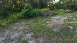 Продам участок 9соток - Чапаєвка фото 7 Продам участок 9соток - Чапаєвка фото 7