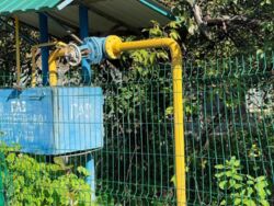 Ворзель, продаж ділянки 54 сотки. фото 8 Ворзель, продаж ділянки 54 сотки. фото 8