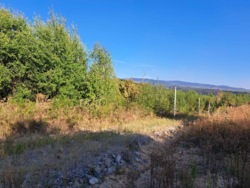 Продаж ділянки Невицьке-Дубки фото 3 Продаж ділянки Невицьке-Дубки фото 3