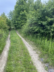 Ділянка в районі Горян фото 10 Ділянка в районі Горян фото 10