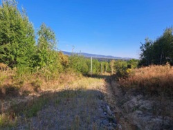 Продаж ділянки Невицьке-Дубки фото 1 Продаж ділянки Невицьке-Дубки фото 1